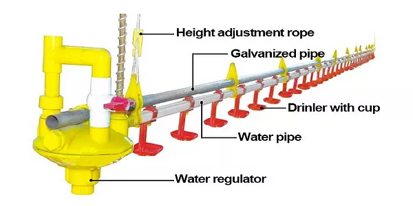 Automatic drinking line